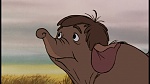 Image The Jungle Book