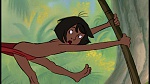 The Jungle Book picture