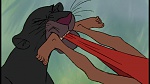 The Jungle Book picture