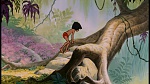 The Jungle Book picture