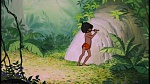 The Jungle Book picture
