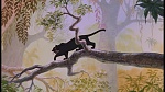 The Jungle Book picture