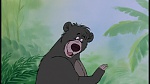 The Jungle Book picture