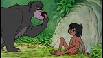 The Jungle Book picture