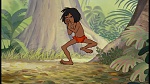 The Jungle Book picture