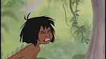 The Jungle Book picture