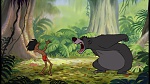 The Jungle Book picture