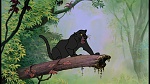 The Jungle Book picture