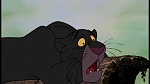 The Jungle Book picture