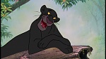 The Jungle Book picture