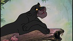 The Jungle Book picture