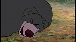 The Jungle Book picture