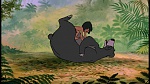 The Jungle Book picture