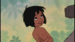 The Jungle Book picture