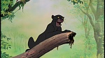 The Jungle Book picture