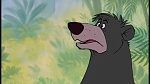 Image The Jungle Book