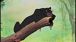 The Jungle Book picture