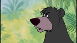 The Jungle Book picture