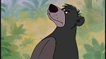 The Jungle Book picture