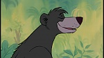 The Jungle Book picture