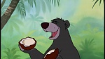 The Jungle Book picture