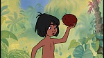 The Jungle Book picture