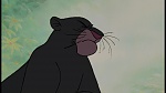 The Jungle Book picture