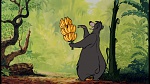 The Jungle Book picture