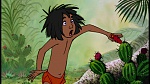 The Jungle Book picture