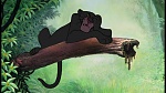 Image The Jungle Book