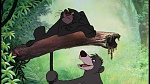 The Jungle Book picture