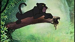 The Jungle Book picture