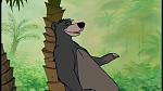 The Jungle Book picture