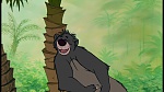 The Jungle Book picture