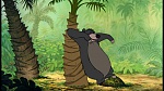 The Jungle Book picture