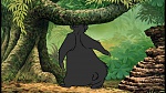 The Jungle Book picture