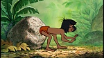 Image The Jungle Book