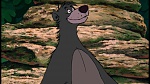 The Jungle Book picture