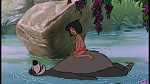 The Jungle Book picture