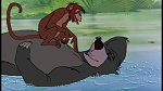 The Jungle Book picture