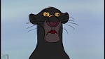 The Jungle Book picture
