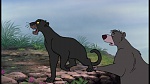 The Jungle Book picture