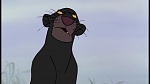 The Jungle Book picture