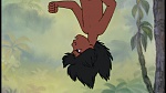 Image The Jungle Book