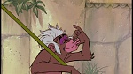 The Jungle Book picture