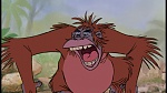 The Jungle Book picture