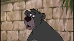 The Jungle Book picture