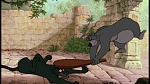 The Jungle Book picture