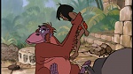 The Jungle Book picture