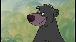 The Jungle Book picture